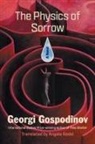 Georgi Gospodinov - The Physics of Sorrow