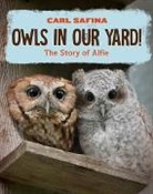 Carl Safina - Owls in Our Yard!