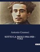 Antonio Gramsci - SOTTO LA MOLE 1916-1920 - VOLI