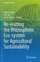 Anil K Sharma, Jai P Rai, Jai P. Rai, Anil K. Sharma, Udai B. Singh - Re-visiting the Rhizosphere Eco-system for Agricultural Sustainability