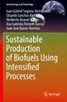 Heriberto Alcocer-Garcia, Juan José Quiroz-Ramirez, Ana Gabriela Romero-Garcia, E Sanchez-Ramirez, Eduardo Sanchez-Ramirez, Juan Gabriel Segovia-Hernández - Sustainable Production of Biofuels Using Intensified Processes