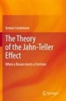 Arnout Ceulemans - The Theory of the Jahn-Teller Effect