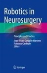 Jorge Alvaro González Martínez, Cardinale, Francesco Cardinale, Jorge Alvaro González Martínez - Robotics in Neurosurgery