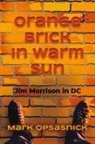 Mark Opsasnick - Orange Brick in Warm Sun