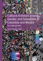 César Sánchez-Avella - Cultural Activism around Gender and Sexualities in Colombia and Mexico
