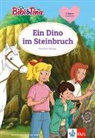 Dorothea Flechsig - Bibi & Tina: Ein Dino im Steinbruch