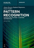 Jürgen Beyerer, Raphael Hagmanns, Daniel Stadler - Pattern Recognition