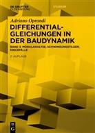 Adriano Oprandi - Differentialgleichungen in der Baudynamik