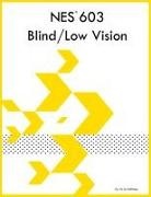 Iris Q McKinley - NES 603 Blind/Low Vision