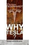Thomas Degenhardt - Why Tesla?