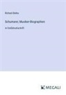 Richard Batka - Schumann; Musiker-Biographien