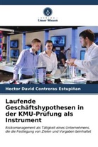 Hector David Contreras Estupiñan - Laufende Geschäftshypothesen in der KMU-Prüfung als Instrument