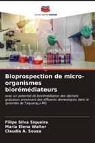 Claudia A. Sousa, Maria Elena Walter, Filipe Silva Siqueira - Bioprospection de micro-organismes biorémédiateurs