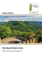 Bastien Brion - En bastion luis