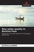 Barthélemy Bawar - Raw water quality in Burkina Faso