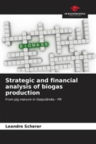 Leandro Scherer - Strategic and financial analysis of biogas production