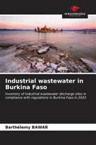 Barthélemy Bawar - Industrial wastewater in Burkina Faso