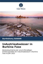 Barthélemy Bawar - Industrieabwässer in Burkina Faso