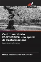 Marco Antonio Avila de Carvalho - Centro natatorio ESEF/UFRGS: uno spazio di trasformazione
