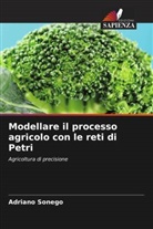 Adriano Sonego - Modellare il processo agricolo con le reti di Petri
