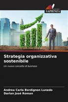 Andrea Carla Bordignon Lunedo, Darlan José Roman - Strategia organizzativa sostenibile