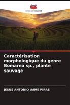 Jesus Antonio Jaime Piñas - Caractérisation morphologique du genre Bomarea sp., plante sauvage