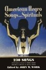 John W. Work - American Negro Songs and Spirituals
