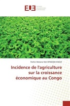 Pothin Melaine Néri Kpangba Kingo - Incidence de l'agriculture sur la croissance économique au Congo