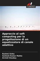 Arvind Choubey, Santosh Kumar Mahto, Rashmi Sinha - Approccio al soft computing per la progettazione di un equalizzatore di canale adattivo