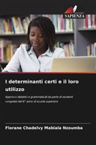 Florane Chadelvy Mabiala Nzoumba - I determinanti certi e il loro utilizzo
