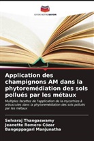 Bangeppagari Manjunatha, Jeanette Romero-Cózar, Selvaraj Thangaswamy - Application des champignons AM dans la phytoremédiation des sols pollués par les métaux