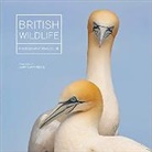 Maggie Gowan - British Wildlife Photography Awards 10