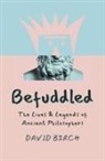 David Birch - Befuddled