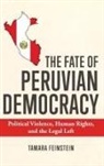 Tamara Feinstein - Fate of Peruvian Democracy