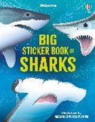 Alice James, James Alice, Amanda Shufflebotham - Big Sticker Book of Sharks