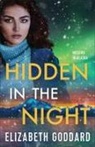 Elizabeth Goddard - Hidden in the Night