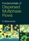 S. Balachandar, S. (University of Florida) Balachandar, Balachandar S. - Fundamentals of Dispersed Multiphase Flows