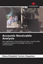 Elena Elizabeth Yerren Chapoñan - Accounts Receivable Analysis