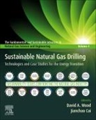 Jianchao Cai, Jianchao (Professor Cai, Cai Jianchao, David A. Wood, David Wood, David (Owner/consultant Wood - Sustainable Natural Gas Drilling