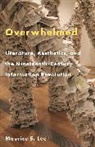 Maurice S. Lee, Professor Maurice S. Lee - Overwhelmed