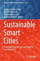 Mohamad Essaaidi, Mohamad Essaaidi et al, Marcin Paprzycki, Shahram Rahimi, Pradeep Kumar Singh - Sustainable Smart Cities