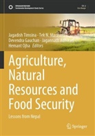 Jagannath Adhikari, Devendra Gauchan, Devendra Gauchan et al, Tek N. Maraseni, Tek N Maraseni, Hemant Ojha... - Agriculture, Natural Resources and Food Security