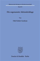 Olaf Schulz-Gardyan - Die sogenannte Aktionärsklage.