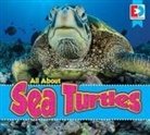 Katie Gillespie - All about Sea Turtles