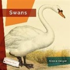 Nicole Helget - Swans