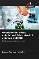 Brenda Ferreira Monteiro - Gestione dei rifiuti chimici nei laboratori di chimica dell'IUE
