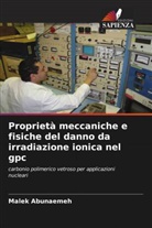 Malek Abunaemeh - Proprietà meccaniche e fisiche del danno da irradiazione ionica nel gpc