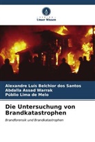 Assad Warrak, Abdalla Assad Warrak, Alexandre Luís Belchior dos Santos, Públio Lima de Melo - Die Untersuchung von Brandkatastrophen
