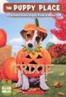 Ellen Miles - Trixie (the Puppy Place #69)