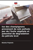 Bukola Popoola - Iso des champignons provenant de sols pollués par de l'huile végétale et potentiel de dégradation du pétrole brut